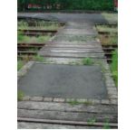 DSCN1934.jpg